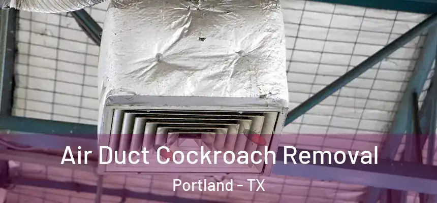  Air Duct Cockroach Removal Portland - TX