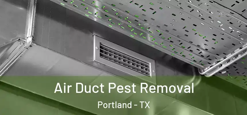  Air Duct Pest Removal Portland - TX