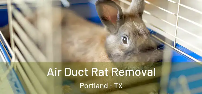  Air Duct Rat Removal Portland - TX
