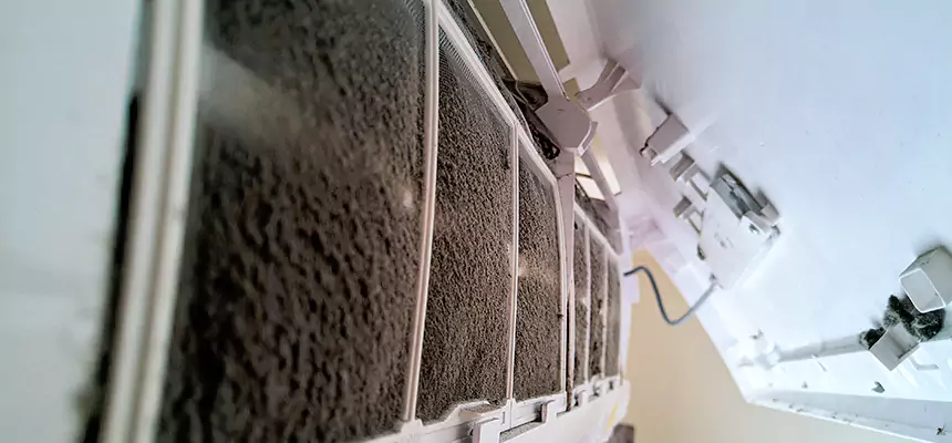 Preventive Air Duct Bacteria Removal in Portland