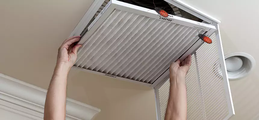 Preventive Cockroach-Proofing for Ducts in Portland