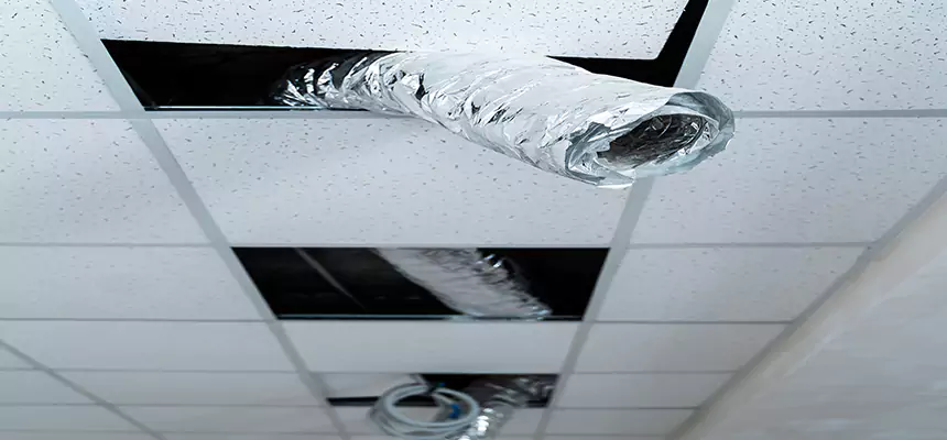 Affordable HVAC Sanitizing After Pest Removal in Portland