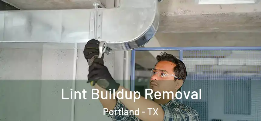  Lint Buildup Removal Portland - TX