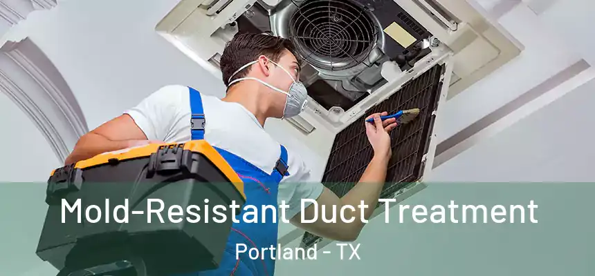  Mold-Resistant Duct Treatment Portland - TX