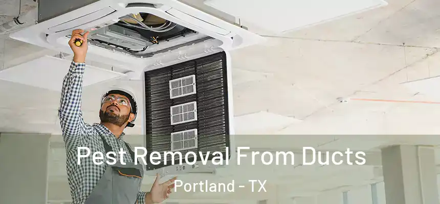  Pest Removal From Ducts Portland - TX