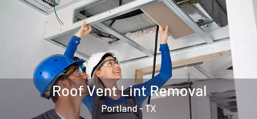  Roof Vent Lint Removal Portland - TX