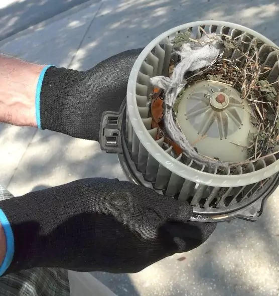 About Air Duct Rat Removal in Portland, TX