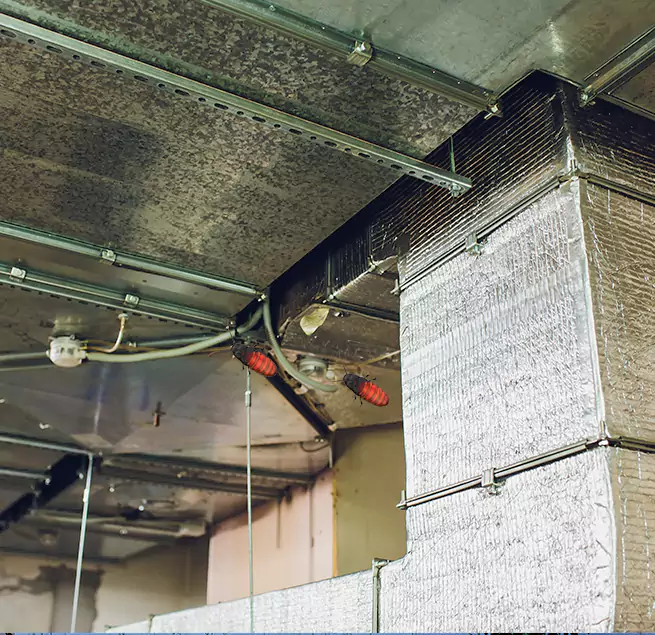 Why Homeowners & Businesses Trust Us in Portland, TX?