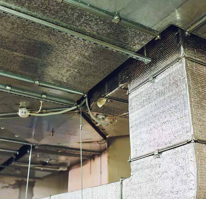 Why Homeowners & Businesses Trust Us in Portland, TX?